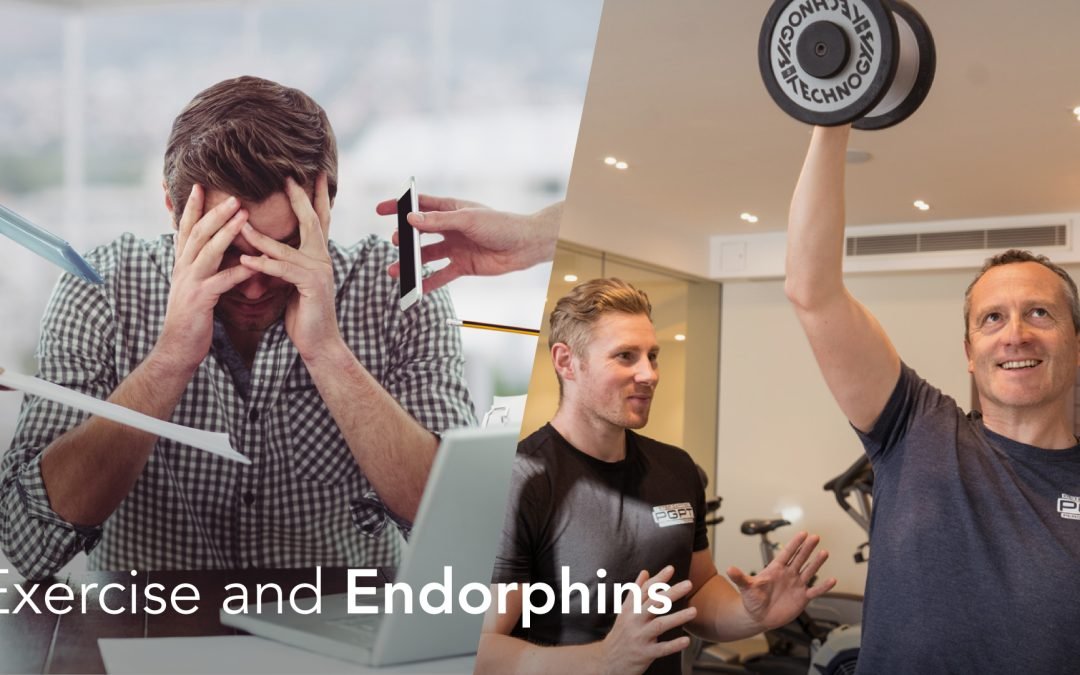 Exercise and Endorphins… Does it really give you a buzz?
