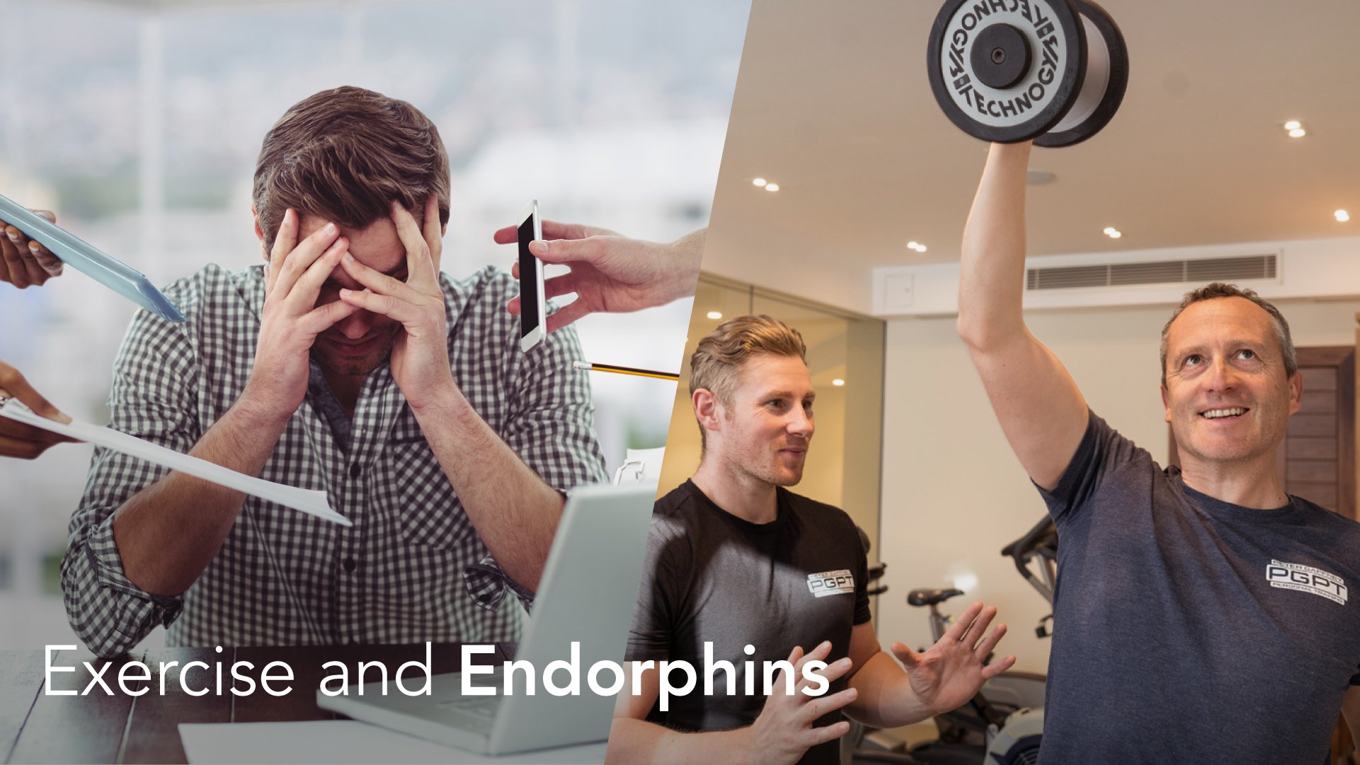 Exercise and Endorphins… Does it really give you a buzz?